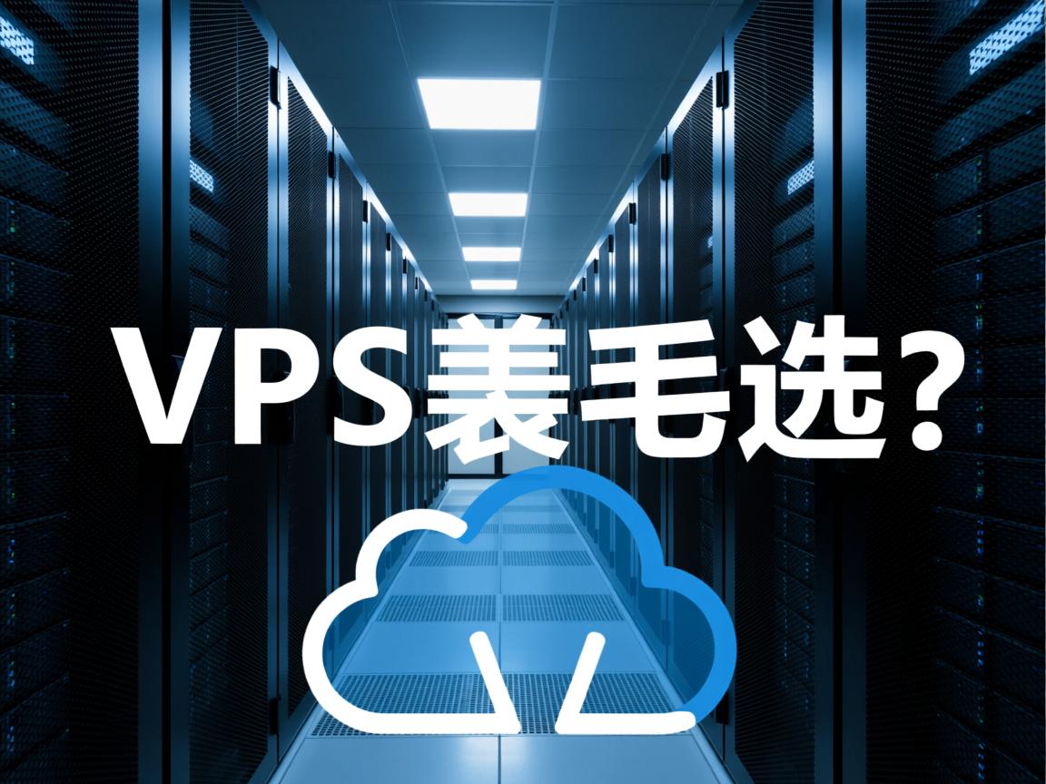 云服务器VPS虚拟主机怎么选? 第2张 云服务器VPS虚拟主机怎么选? 第2张