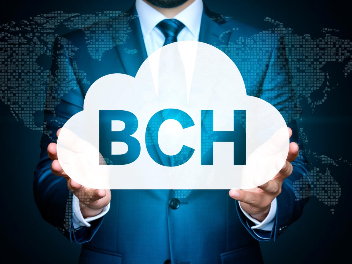云虚拟主机BCH用途是什么？  第2张
