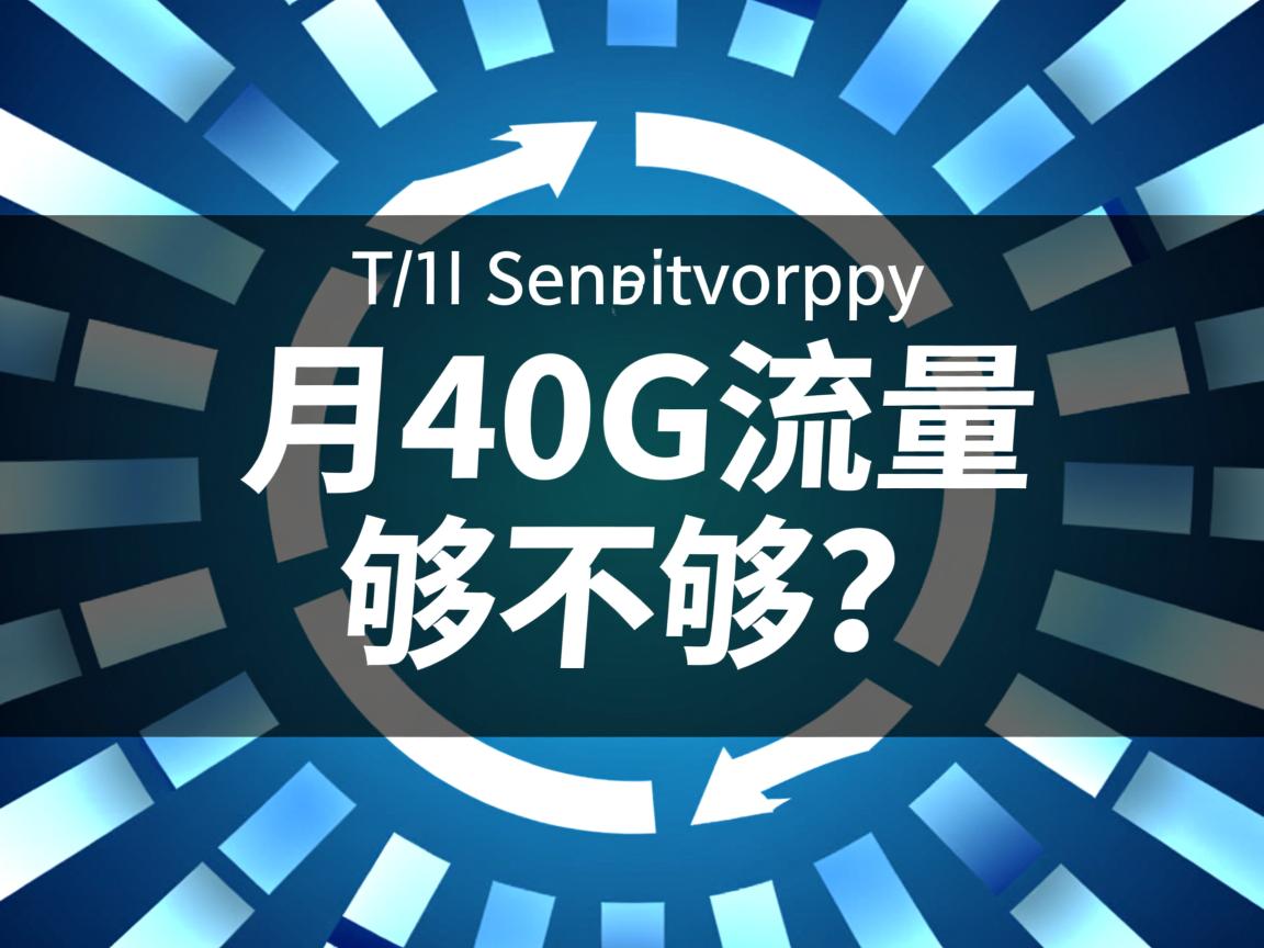 一月40G流量够不够? 第2张 一月40G流量够不够? 第2张