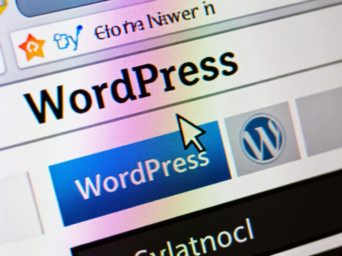 如何在WordPress中添加下拉选项 第2张 如何在WordPress中添加下拉选项 第2张