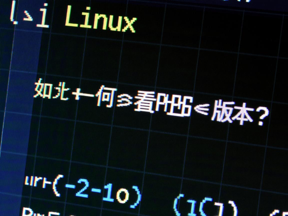 Linux如何查看PHP版本？  第2张