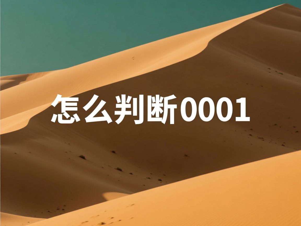 java怎么判断0001 第2张 java怎么判断0001 第2张