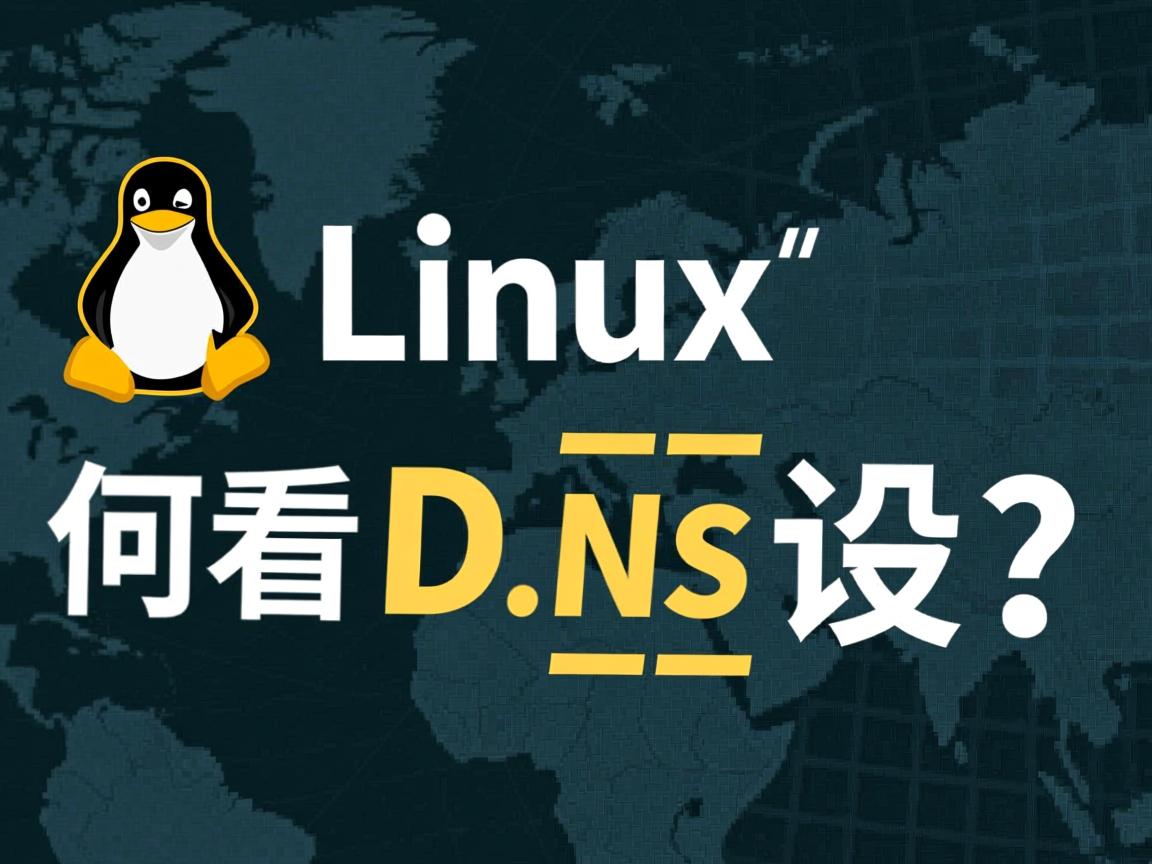 Linux如何查看DNS设置？