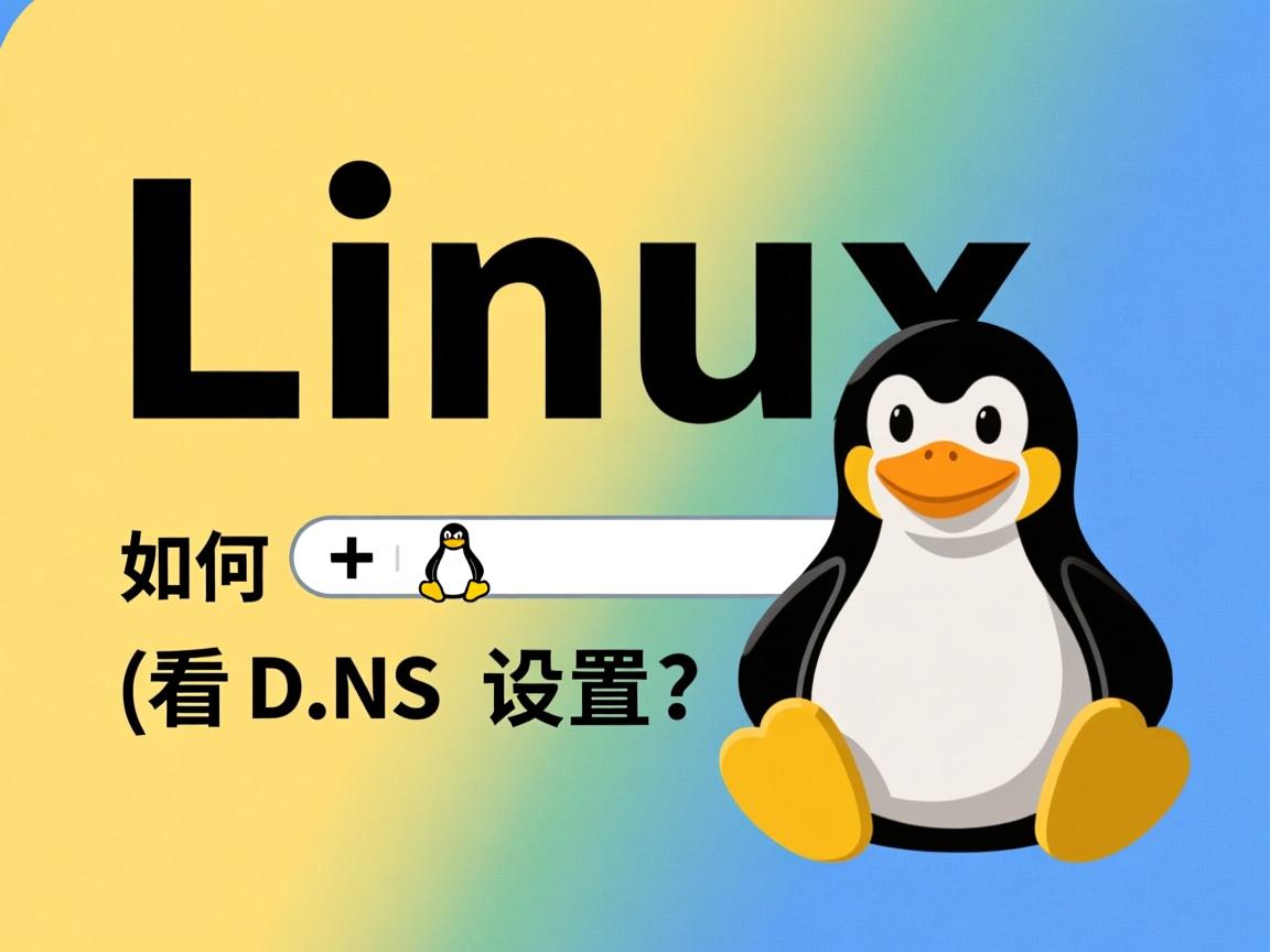 Linux如何查看DNS设置? 第3张 Linux如何查看DNS设置? 第3张