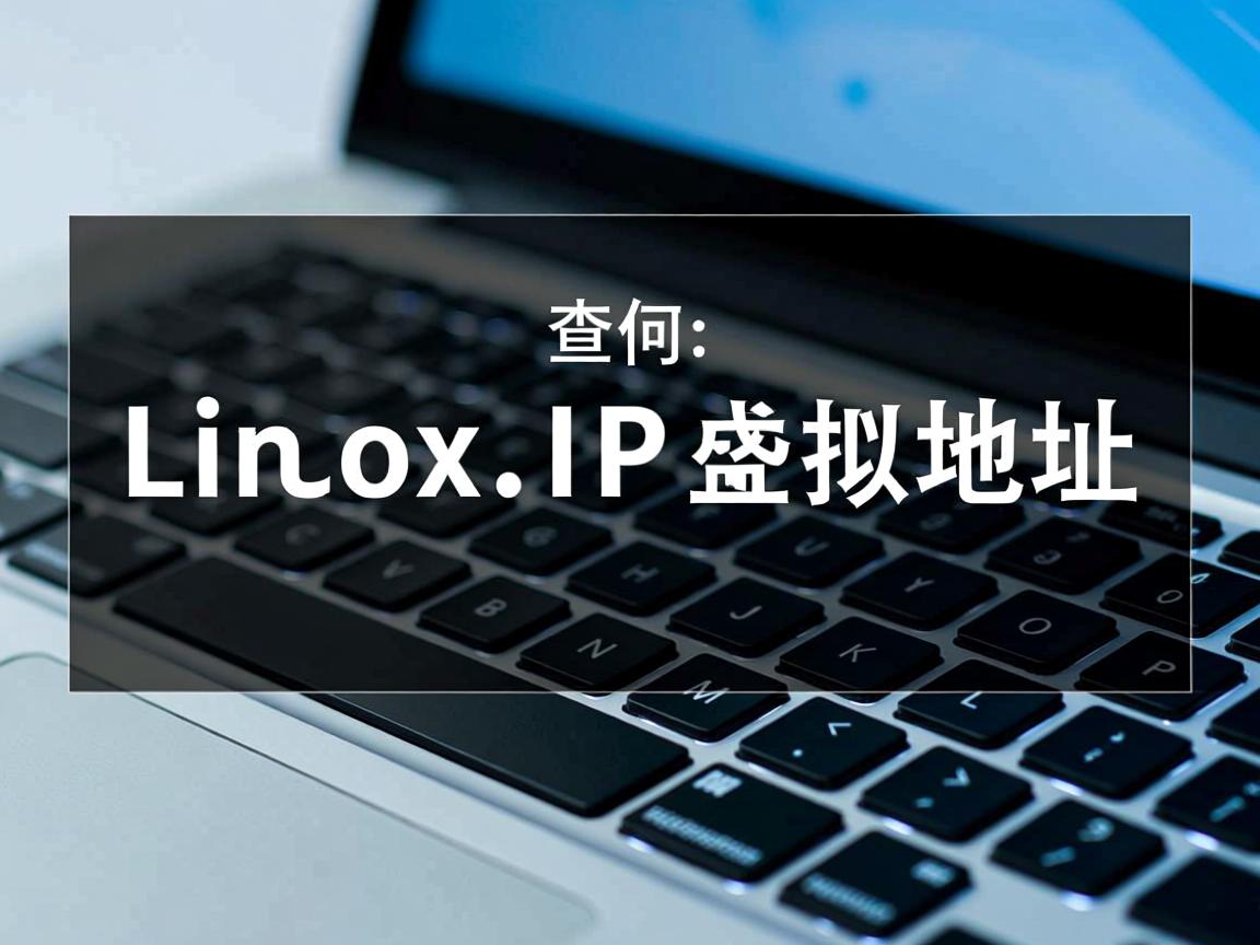 Linux如何查虚拟IP地址? 第3张 Linux如何查虚拟IP地址? 第3张