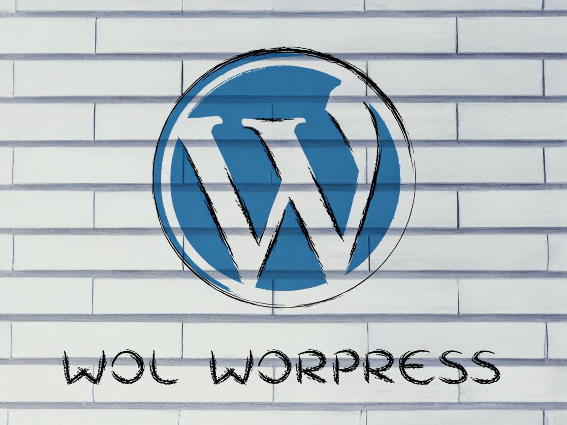 如何在虚拟主机上安装WordPress 第1张 如何在虚拟主机上安装WordPress 第1张