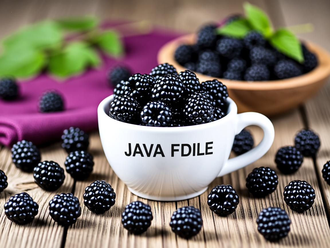 黑莓java文件如何安装  第1张