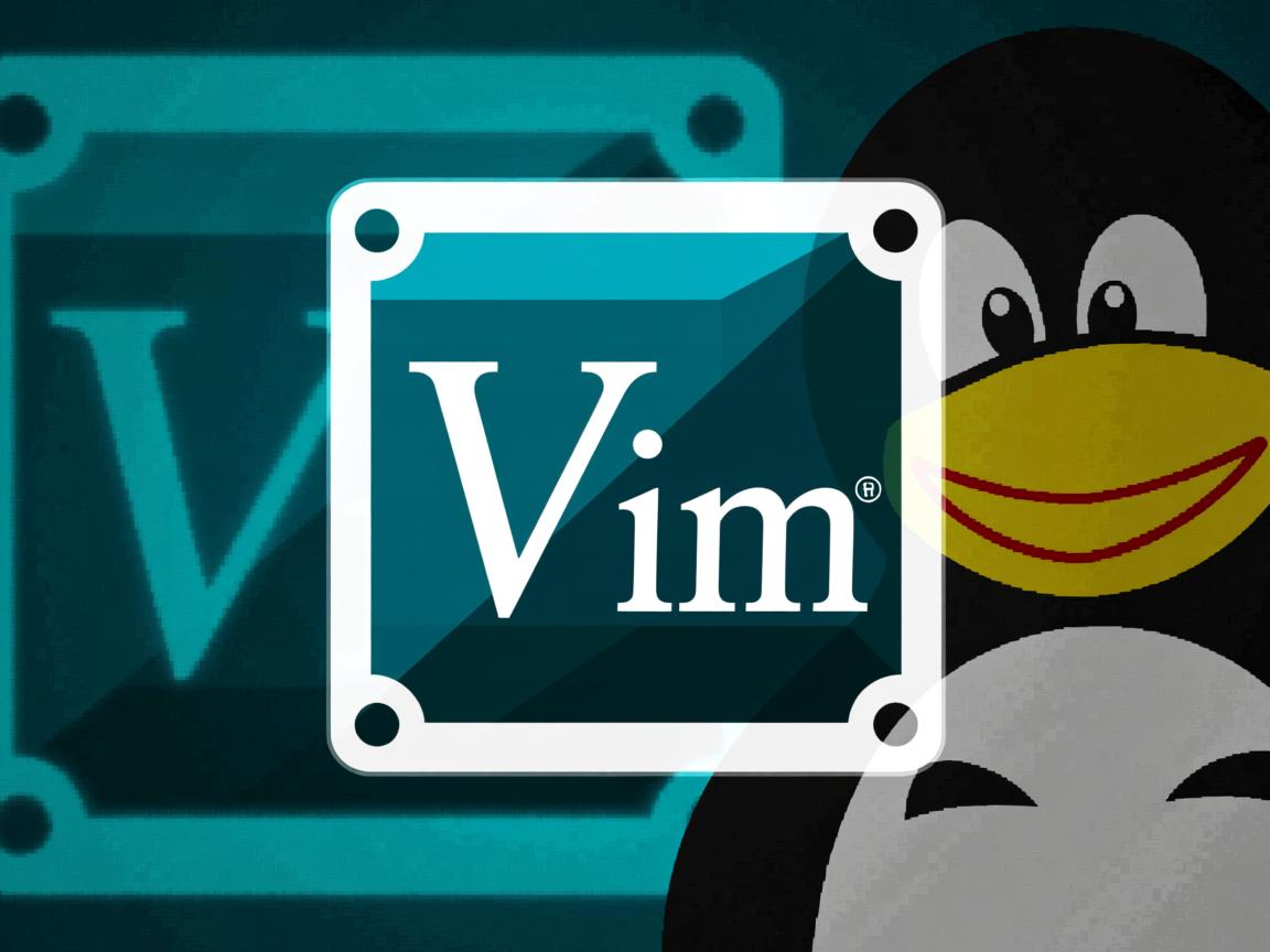 如何在Linux安装Vim？