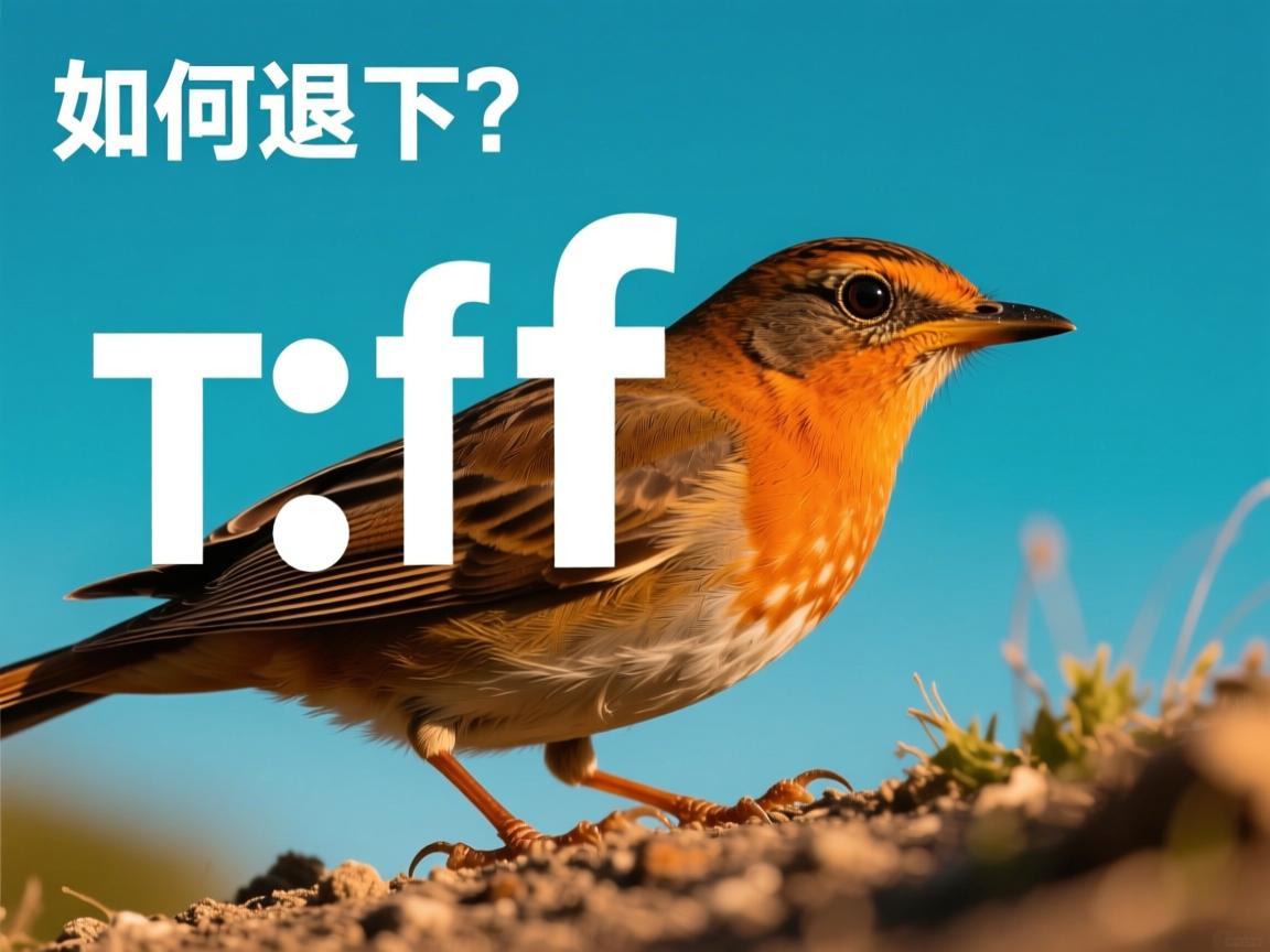 tail -f 如何退出? 第3张 tail -f 如何退出? 第3张
