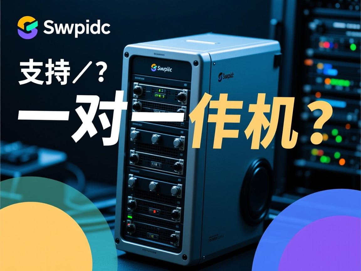 swapidc支持一对一主机吗？  第1张