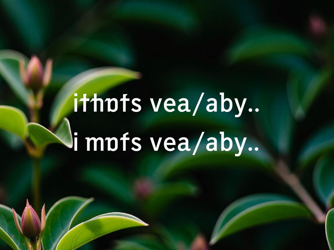 html如何输入两行文字居中显示 第2张 html如何输入两行文字居中显示 第2张