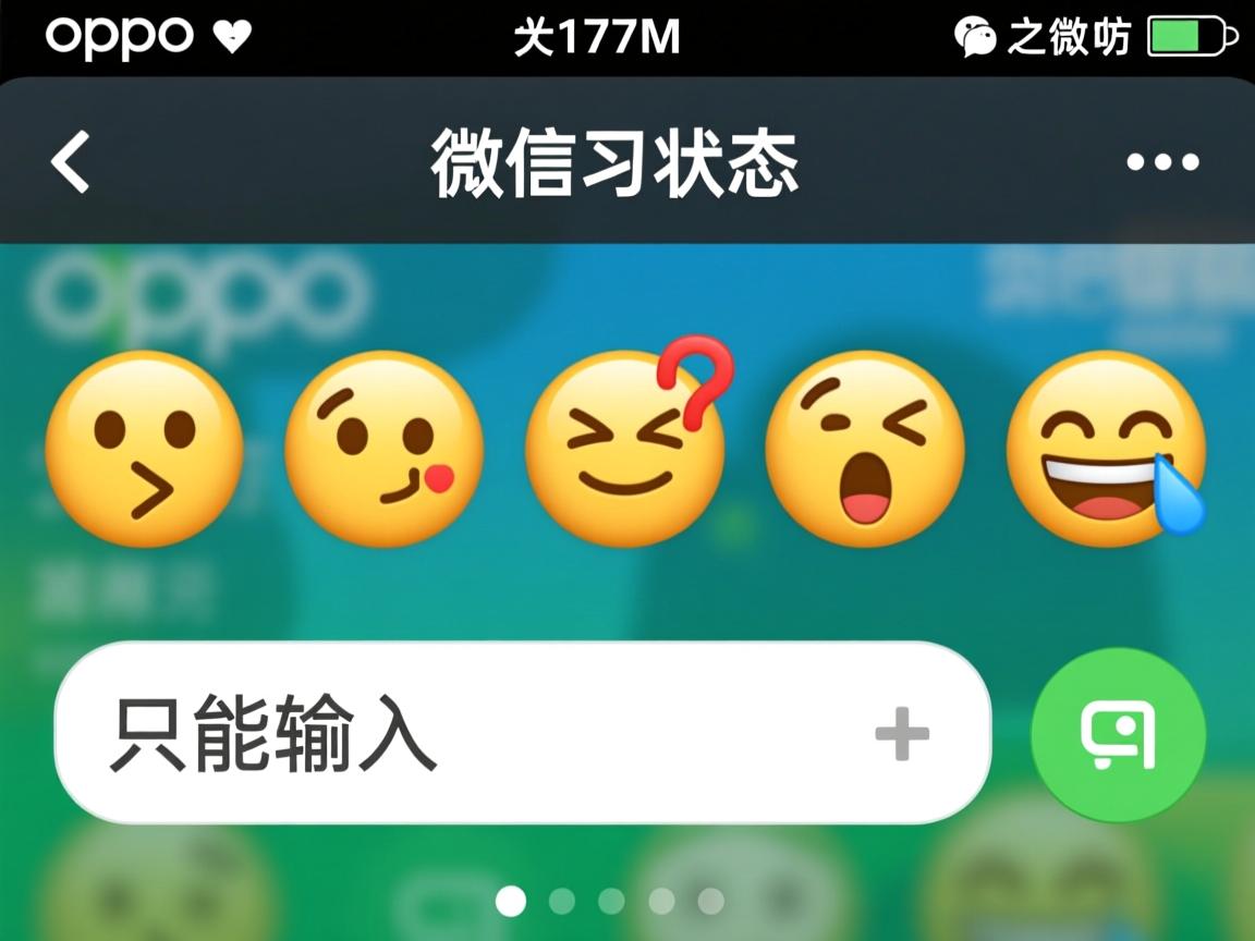 oppo微信状态为什么只能输入表情 第3张 oppo微信状态为什么只能输入表情 第3张
